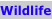 shapeimage_4_link_1