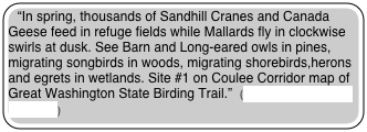 “In spring, thousands of Sandhill Cranes and Canada Geese feed in refuge fields while Mallards fly in clockwise swirls at dusk. See Barn and Long-eared owls in pines, migrating songbirds in woods, migrating shorebirds,herons and egrets in wetlands. Site #1 on Coulee Corridor map of Great Washington State Birding Trail.”  (Washington State Tourism)

