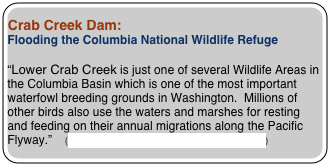 
Crab Creek Dam:
Flooding the Columbia National Wildlife Refuge

“Lower Crab Creek is just one of several Wildlife Areas in the Columbia Basin which is one of the most important waterfowl breeding grounds in Washington.  Millions of other birds also use the waters and marshes for resting and feeding on their annual migrations along the Pacific Flyway.”    (Washington Dept of Fish and Wildlife)


