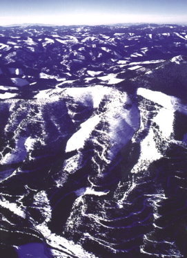 1997 extensive clearcutting, logging roads.